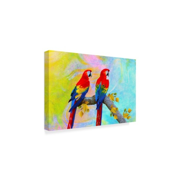 Ata Alishahi 'Parrots 87A' Canvas Art,22x32